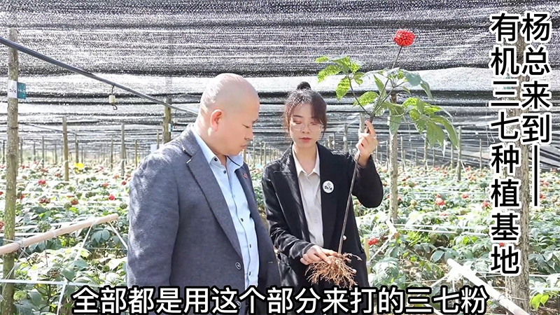图片7.jpg
